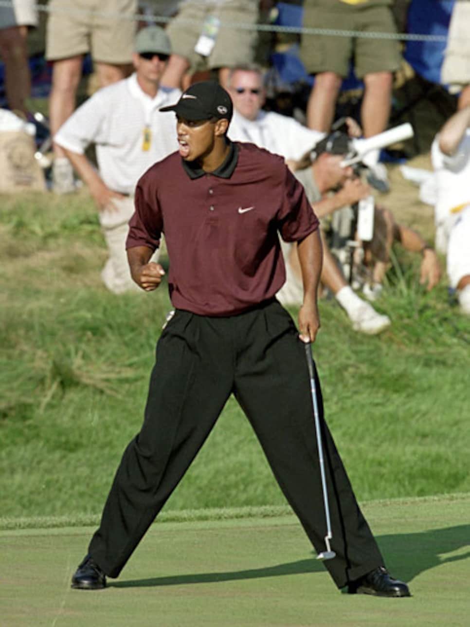 No, Tiger Is Happening
