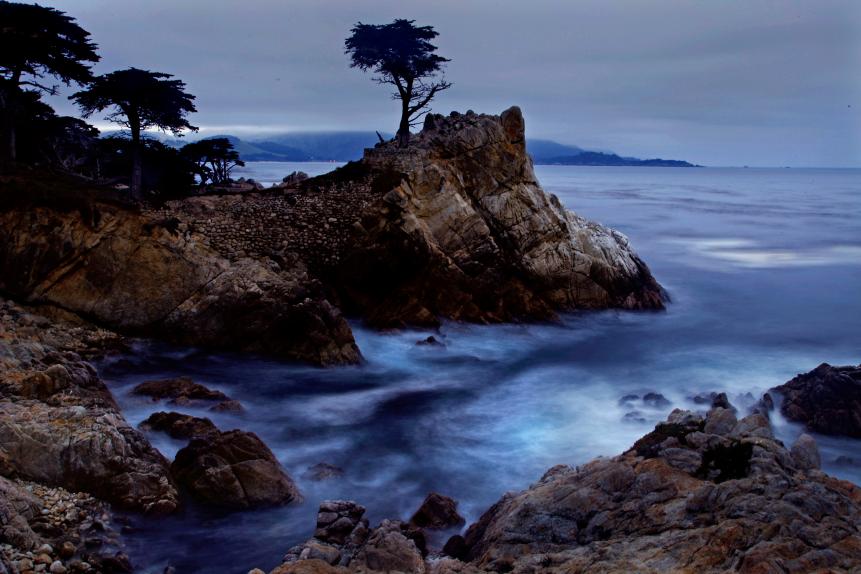 Lone Cypress, between Cypress Point Golf Course and the Pebble Beach Golf Links