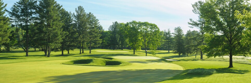 The Old White TPC - Hole 10 - Principal's Nose.jpg