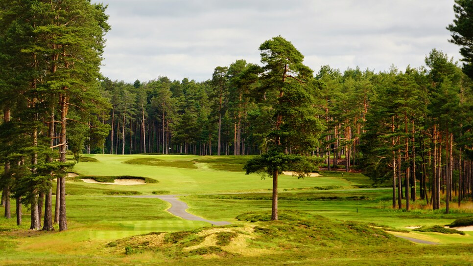 Swinley Forest Jon Cavalier.jpg