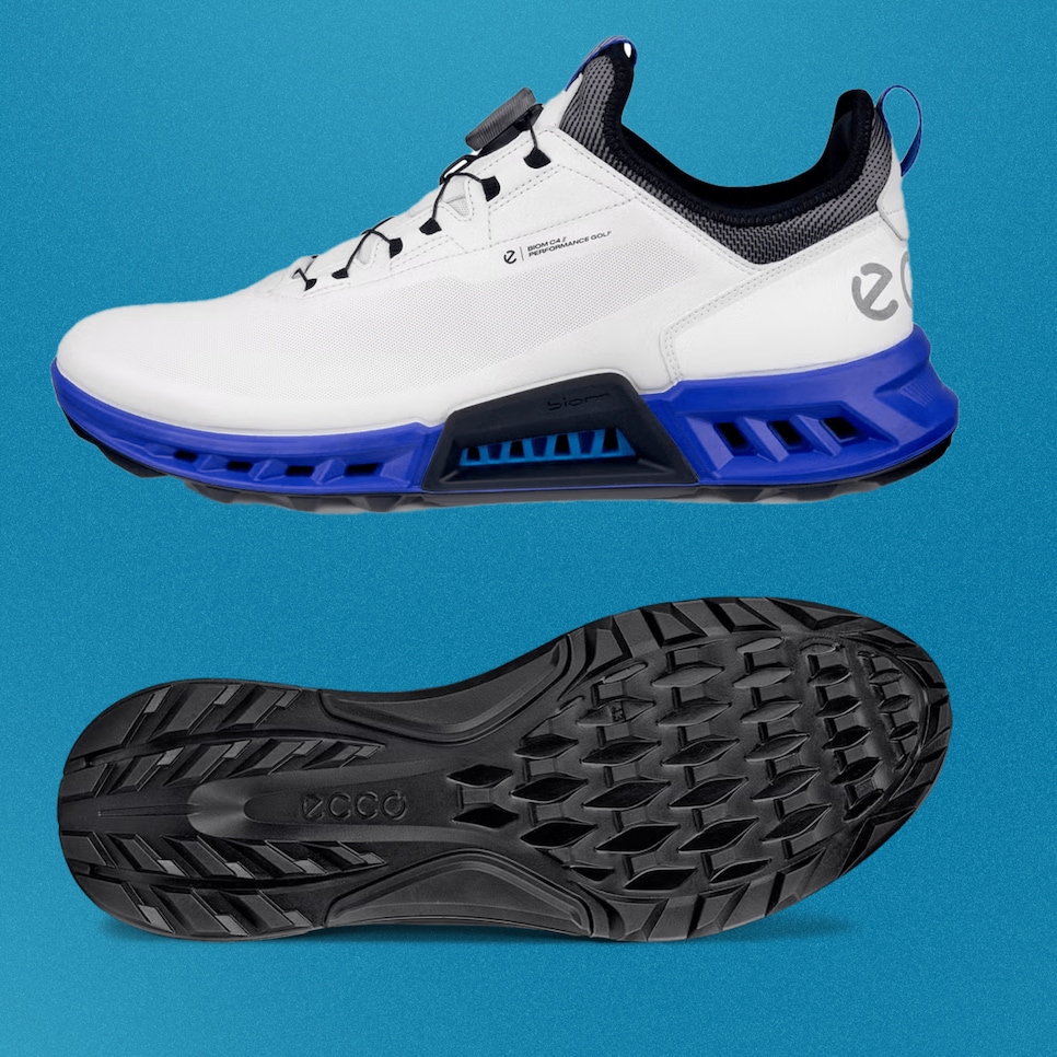 ECCO-biom-c4-boa.png