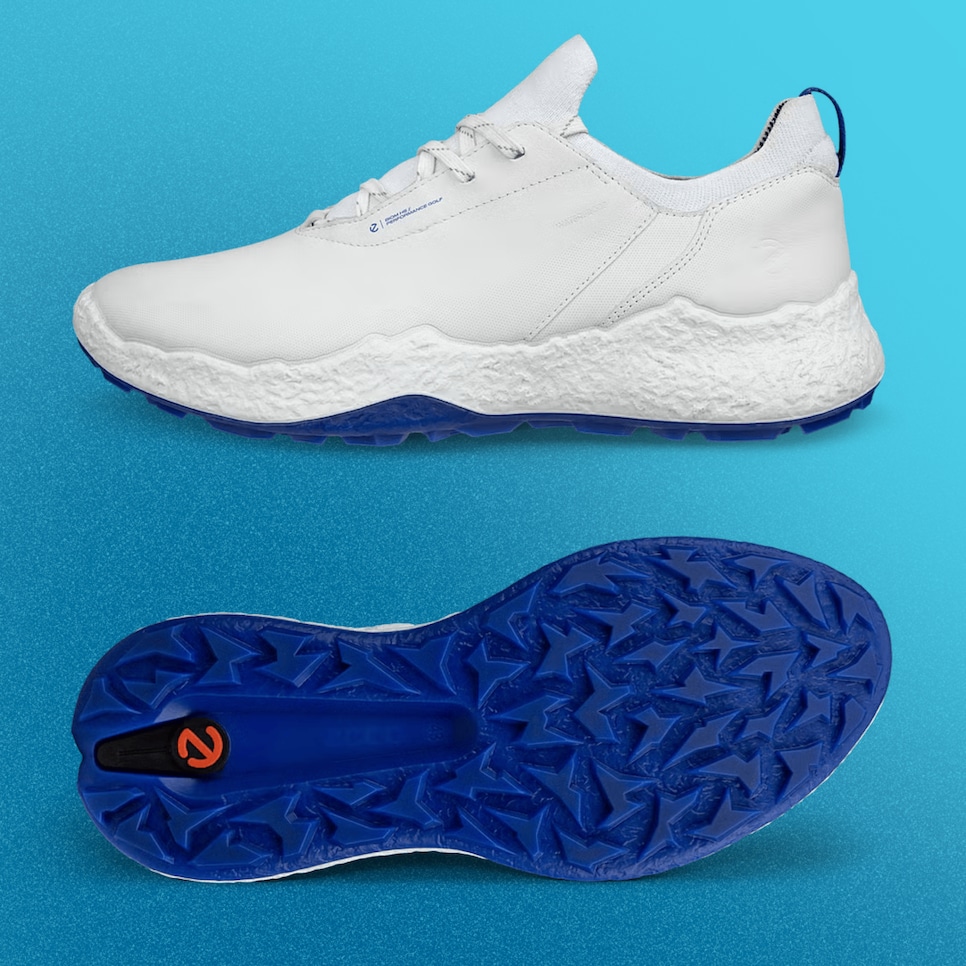Ecco-BiomH5-WhBlue.png