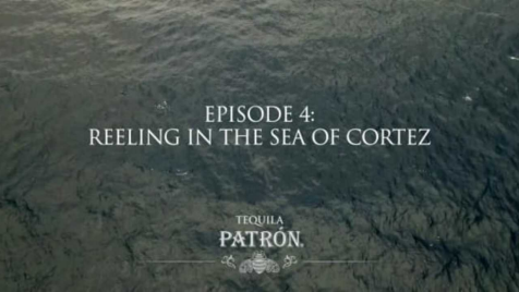 Episode 4: Reeling in the Sea of Cortez