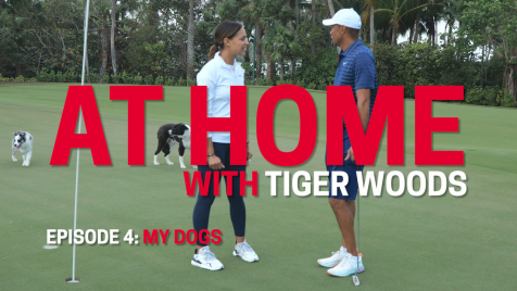 At Home With Tiger Woods: My Dogs
