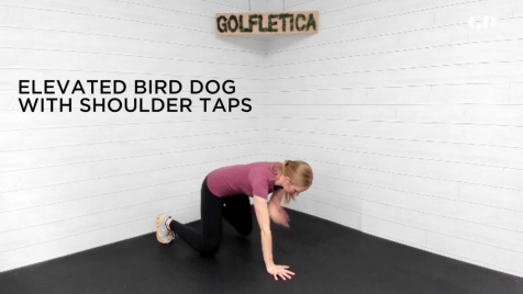 ELEVATED BIRD DOG WITH SHOULDER TAPS