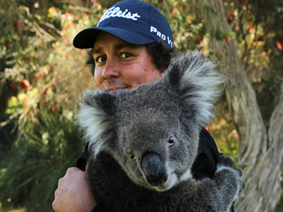 /content/dam/images/golfdigest/fullset/2015/07/20/55ad719ab01eefe207f68323_golf-tours-news-blogs-local-knowledge-assets_c-2013-03-blog-dufner-koala-thumb-470x314-94330.jpg