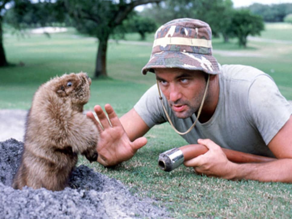 /content/dam/images/golfdigest/fullset/2015/07/20/55ad77baadd713143b4283da_golf-equipment-blogs-newstuff-Impact-Bill-Murray-Caddyshack.jpg