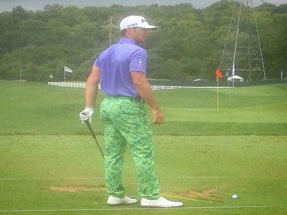 Flamingo clearance golf pants