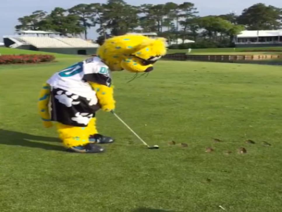 This tee shot by the Jacksonville Jaguars mascot might be the most