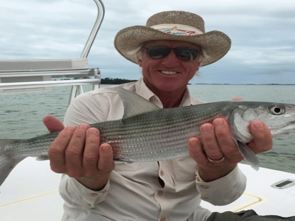 Greg Norman has life figured out, and he has the Instagram account to prove  it, This is the Loop