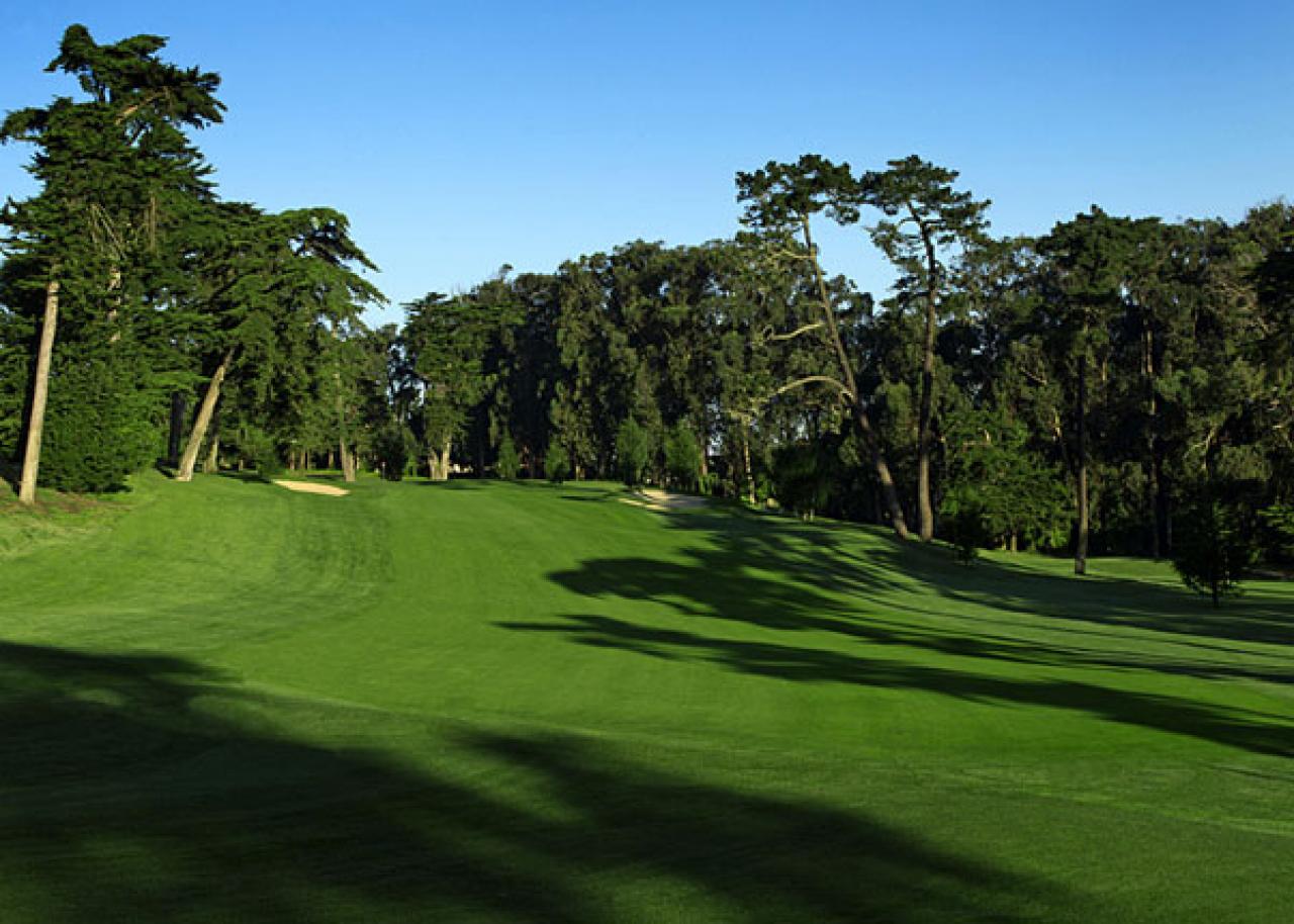 Olympic Golf Course Trees 4k Green Golf Course, Tropical Stock