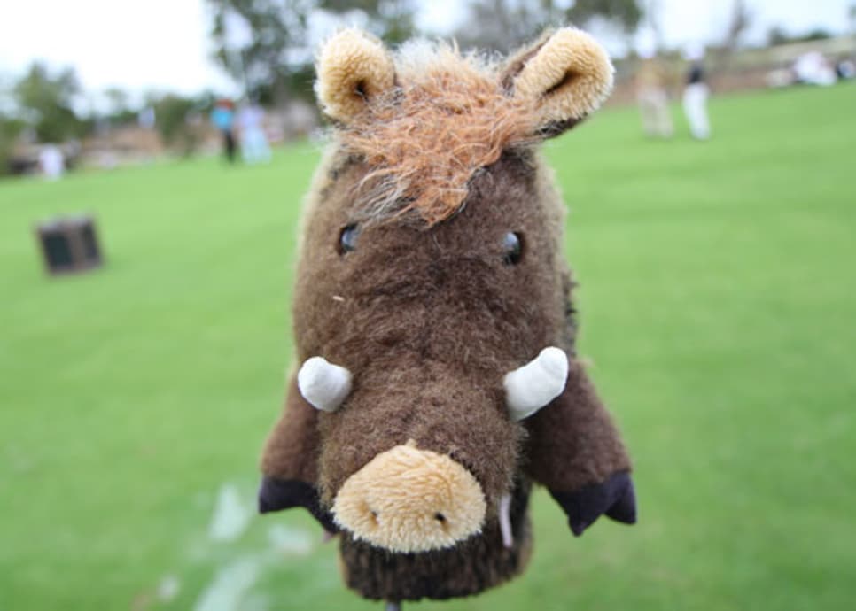 __Alma Mater Cover__