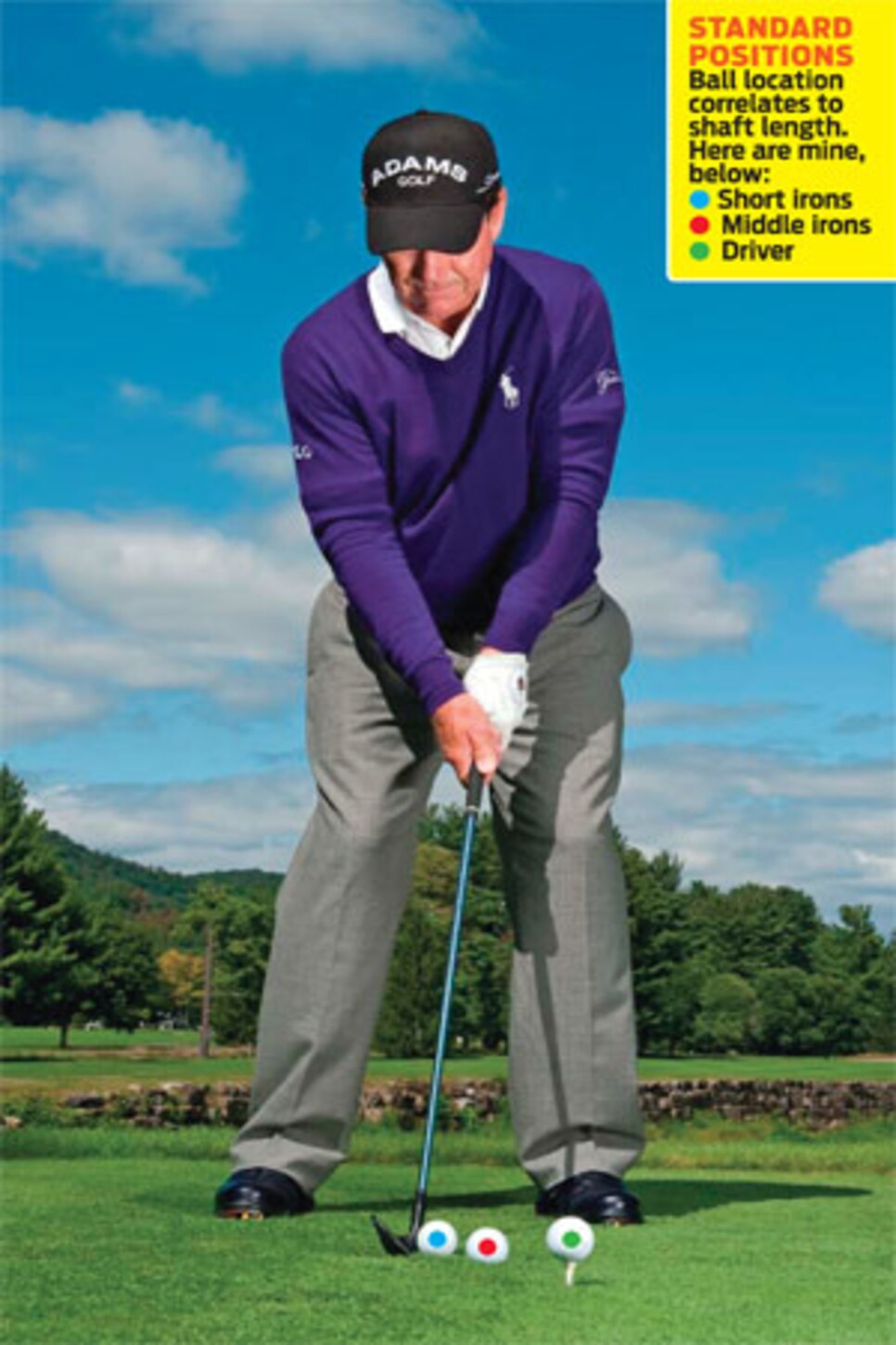 instruction-2010-09-inar01_watson_ball_position.jpg