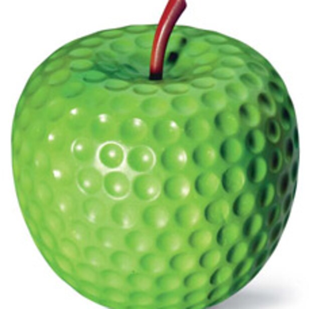 The Best Teachers In Your State 2009 How To Golf Digest