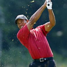 1) Tiger Woods