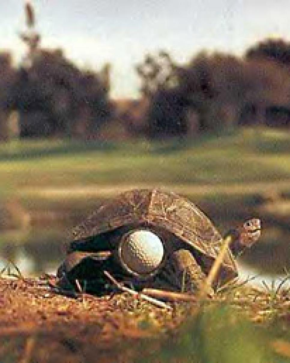 golfworld-2008-05-gwar01_080509slowplay.jpg