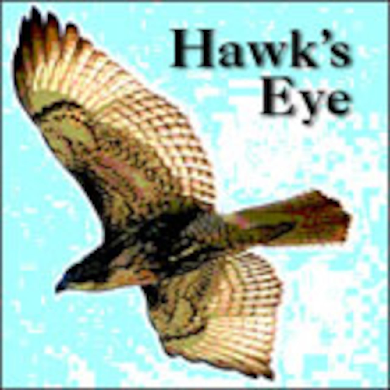 Hawks Eye: Daly-it's About Time, But Not Enough 