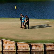After a fan jumped in the water on the 17th hole, players can take heart that they didn\'t make the worst play of the week there.