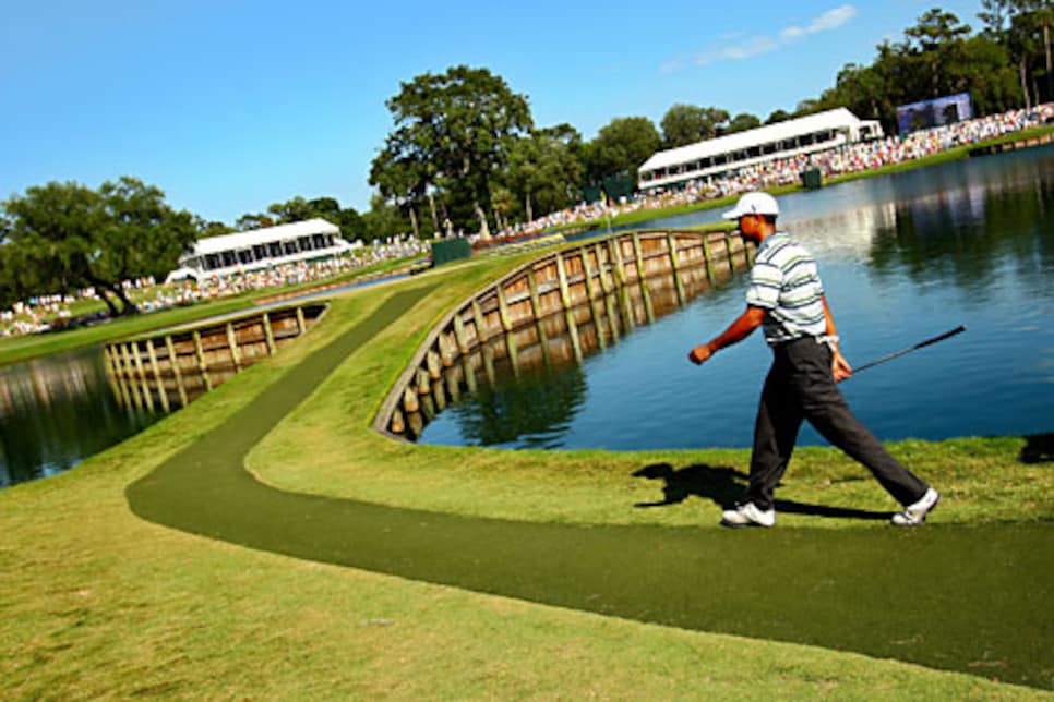 golfworld-2009-05-gwar01_0509tiger.jpg