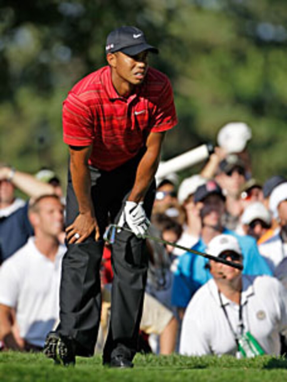 golfworld-2009-08-gwar01_0820tiger.jpg