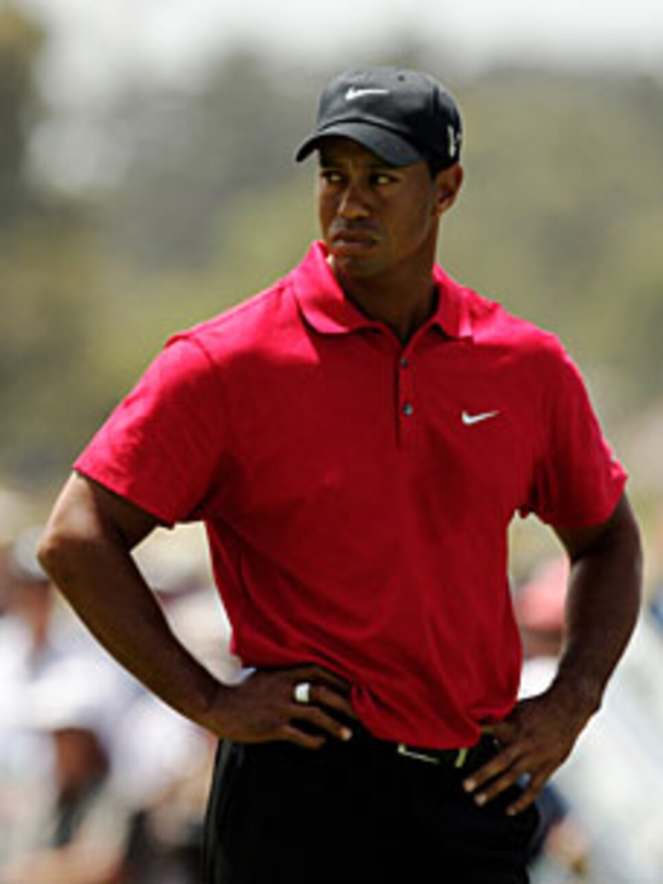 golfworld-2009-11-gwar01_1130tiger.jpg