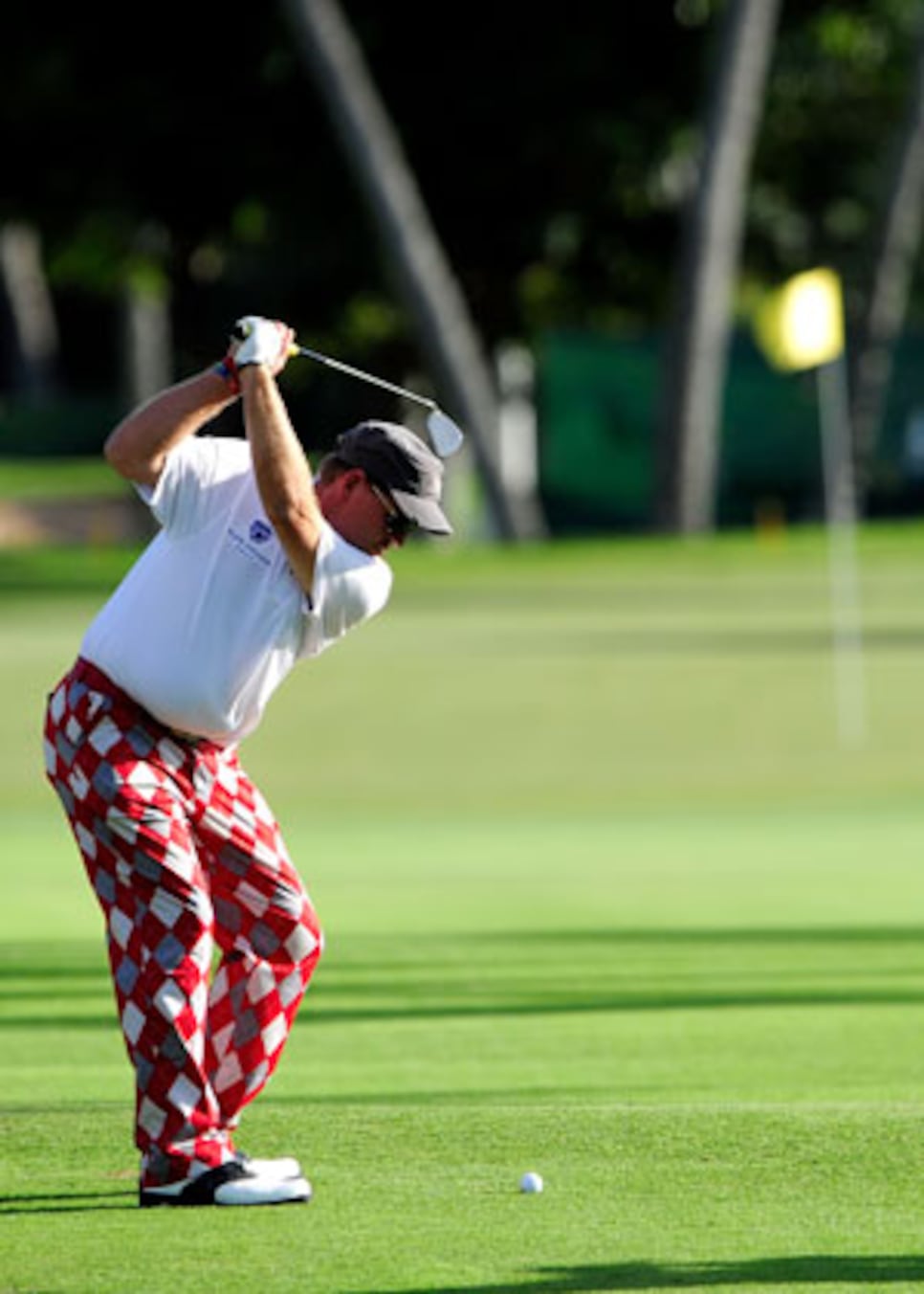 golfworld-2010-01-gwar01_daly_sony.jpg