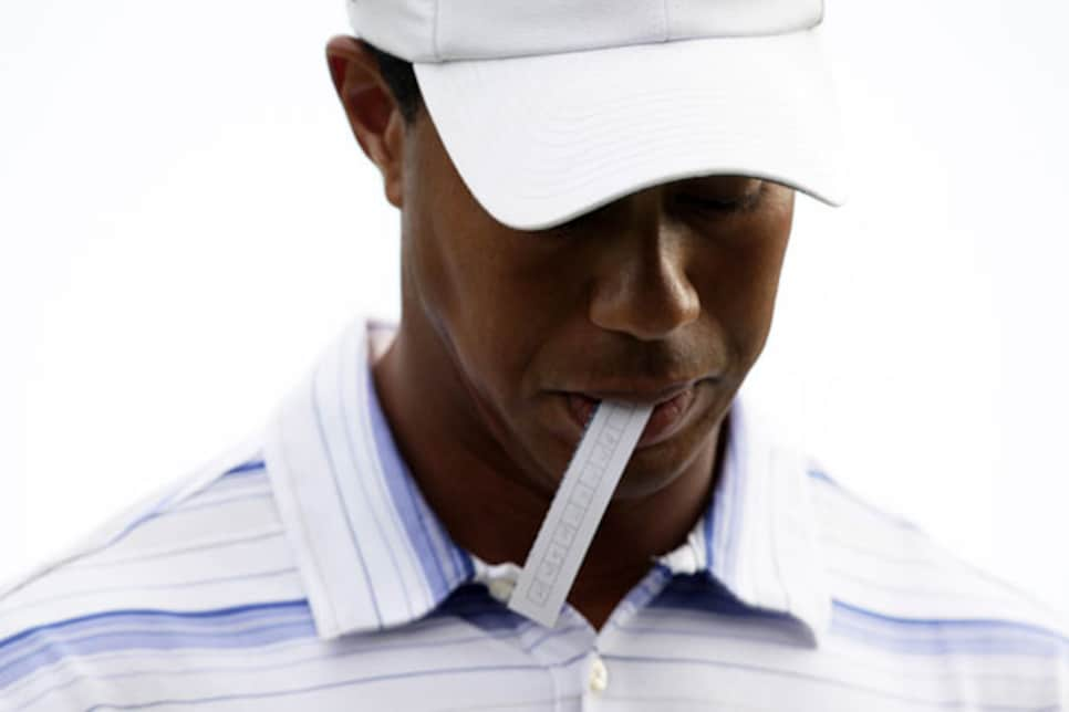 golfworld-2010-02-gwar01_tiger_jenkins_620.jpg