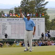 Lehman defeated Fred Couples and David Frost in a playoff to win the Senior PGA Championship.