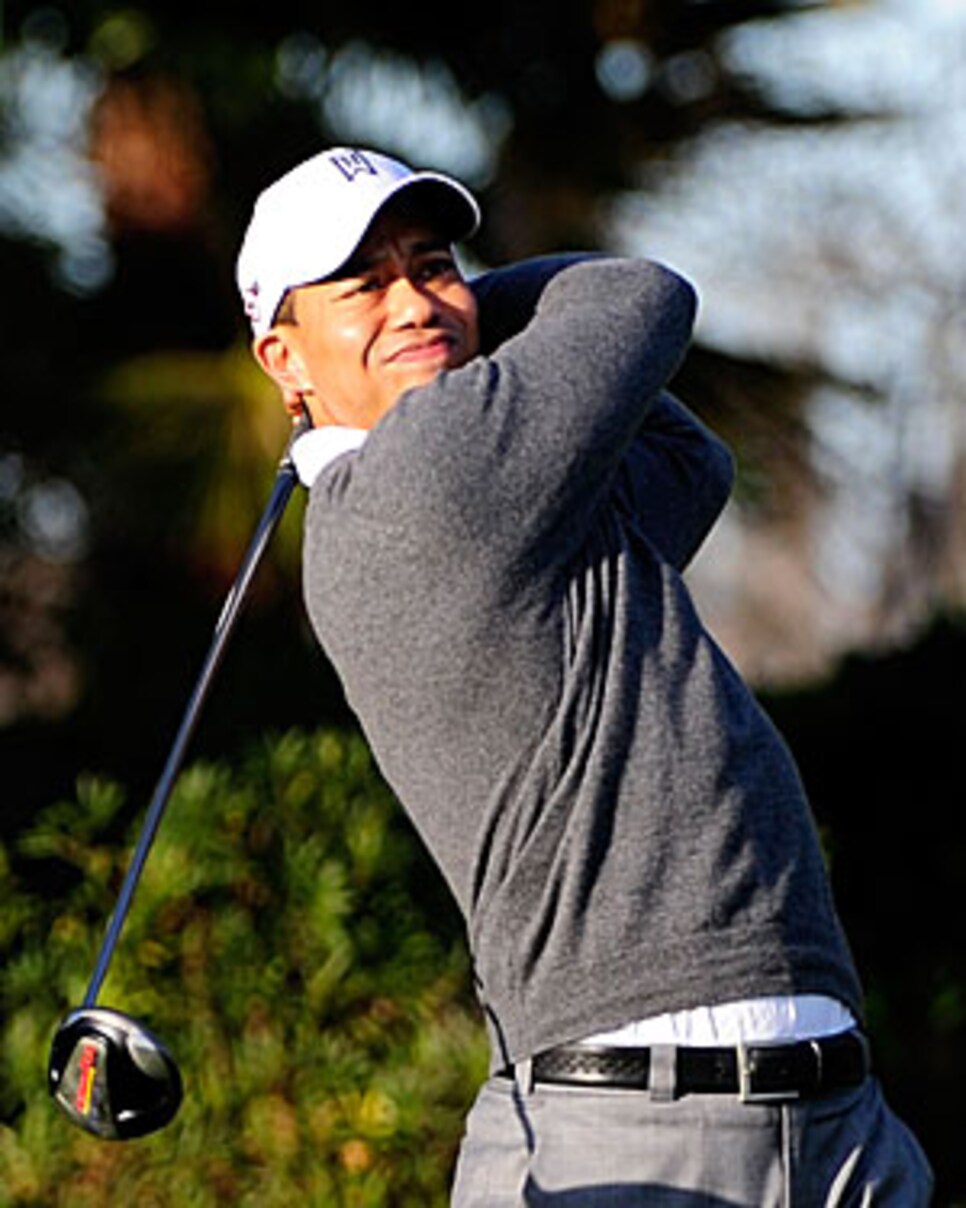 golfworld-2010-03-gwar01_0321_tiger_300.jpg