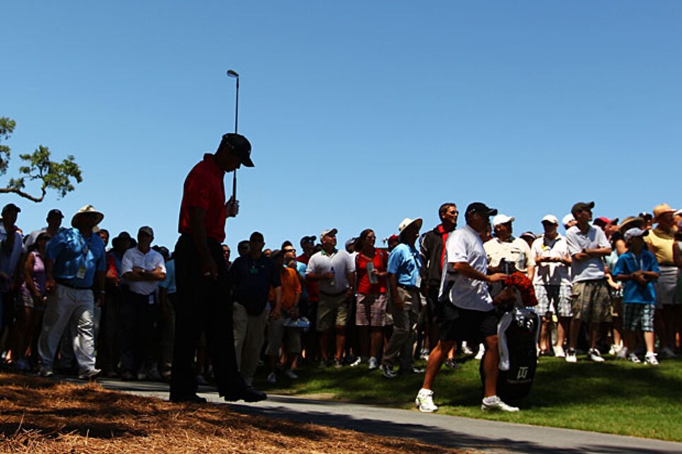 golfworld-2010-05-gwar01_0509_tiger_620.jpg