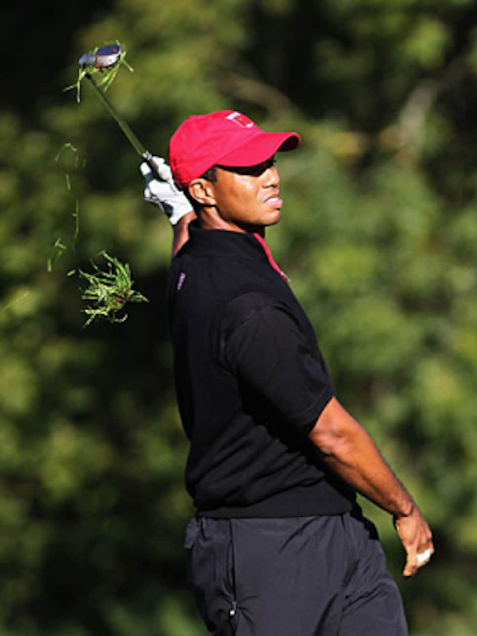 golfworld-2010-10-gwar01_1007_tiger_300.jpg