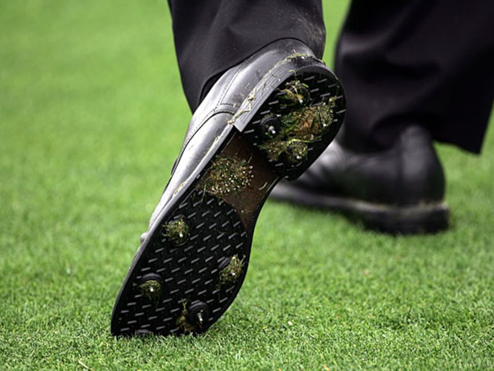 golf shoe spikes