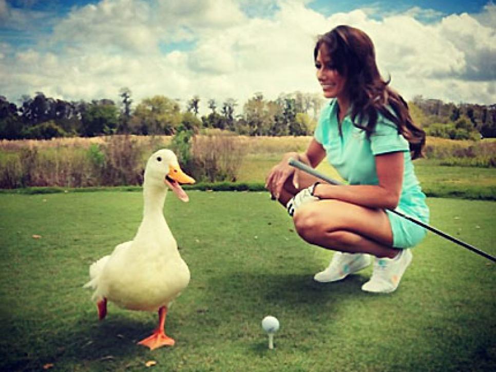 Aflac Duck
@aflacduck
