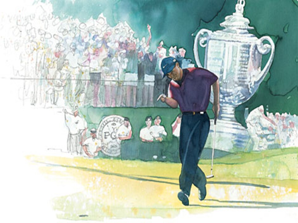 /content/dam/images/golfdigest/fullset/2015/07/21/55adaf9bb01eefe207f8a3ac_magazine-2006-06-maar01_0010tigerpga.jpg