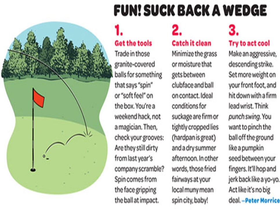 /content/dam/images/golfdigest/fullset/2015/07/21/55adb09eb01eefe207f8aee2_magazine-2011-01-maar06_fun_issue_10ways_wedge.jpg