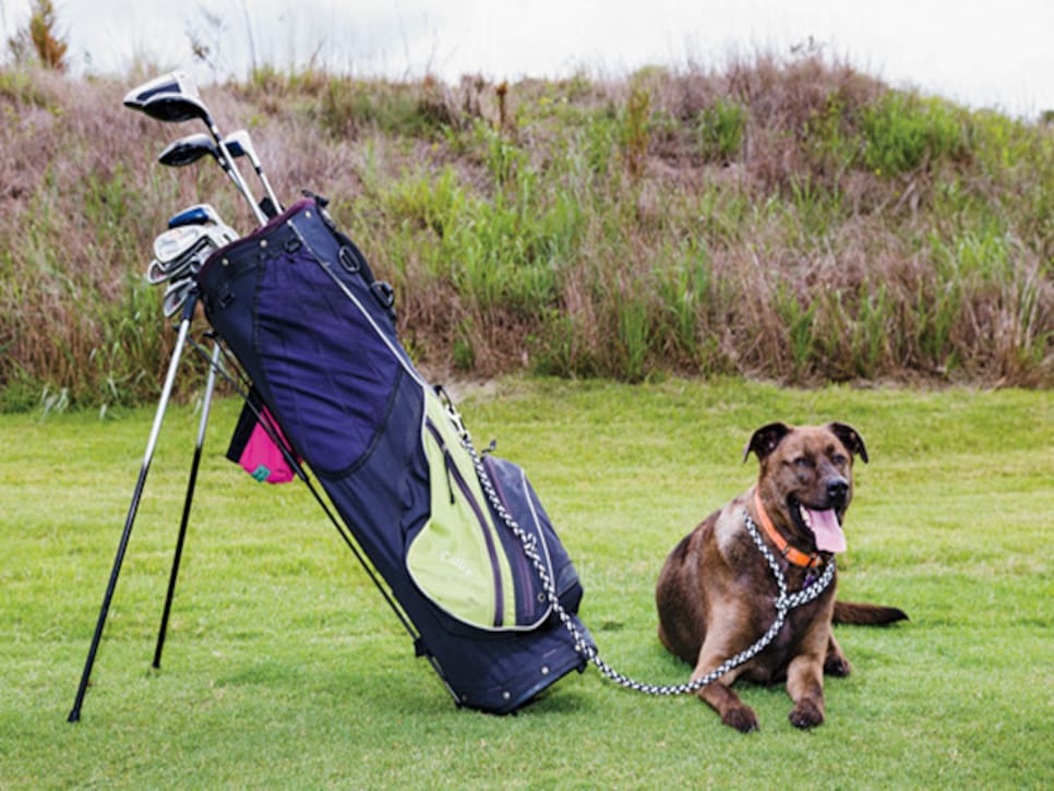 /content/dam/images/golfdigest/fullset/2015/07/21/55adb1f9add713143b447e00_magazine-2014-12-maar01-dogs-620.jpg