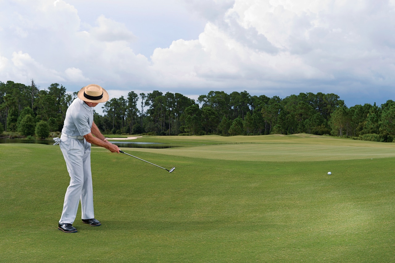 David Leadbetter Rollerball Instruction Golf Digest