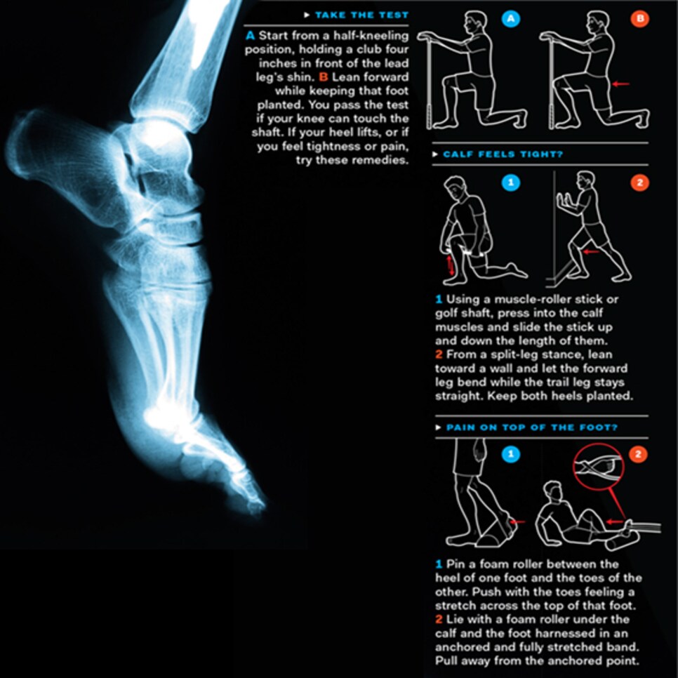 Use these ankle flexibility tests to determine what mobility exercises are  right…