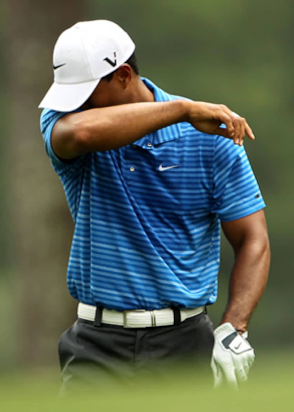 golfworld-2011-04-gwar01_tiger_0409_ap.jpg