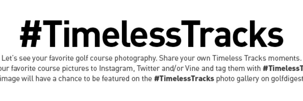 Timeless-Tracks-Banner-2015.jpg