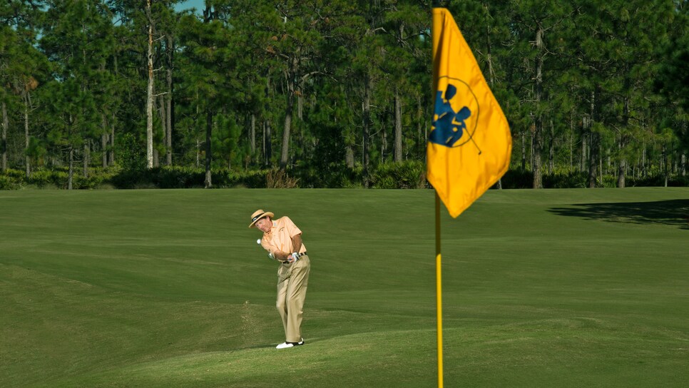 David-Leadbetter-Pitching-With-Precision.jpg