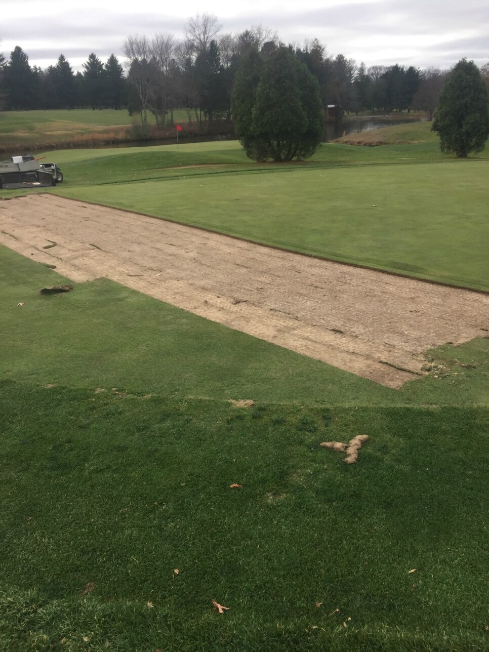 sod from chipping green.JPG