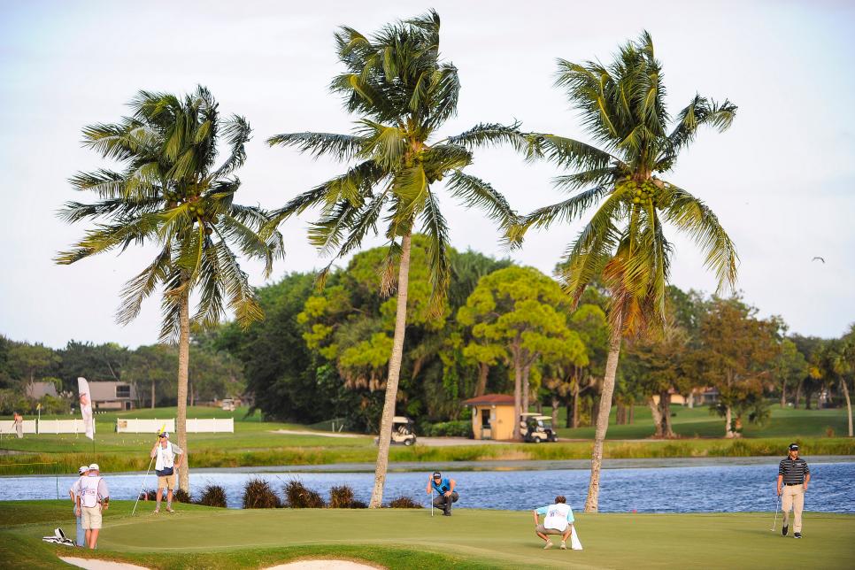scenic-golf-course-shot-palm-trees.jpg
