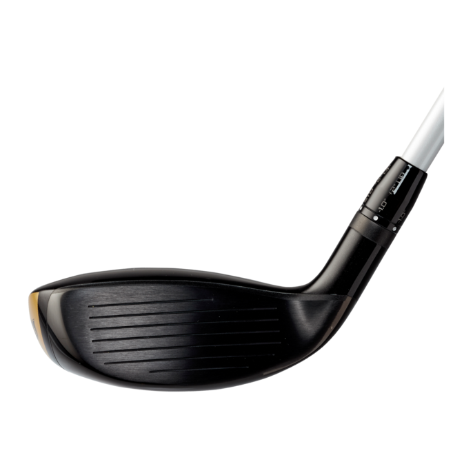 Hybrids-Face-Wilson-FGTourF5.png