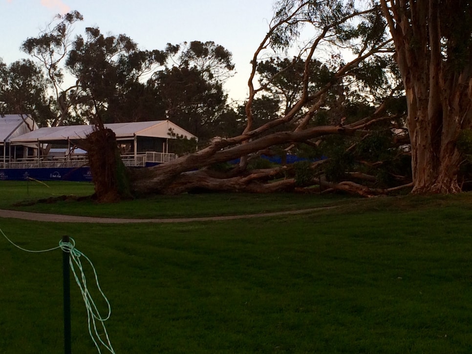 Torrey-Pines-15-fairway.jpg