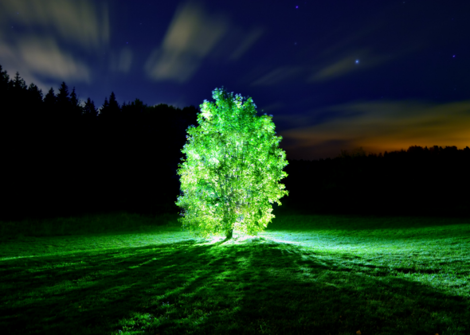 glowing-tree.png