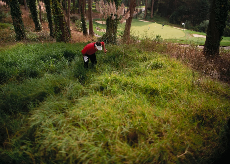 golfer-looking-for-ball.jpg