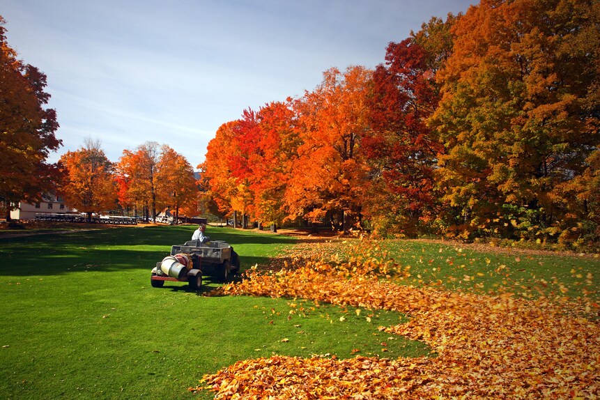 Your match will come down to a shot in which a maintenance guy will be manning a deafening leaf blower five feet away.