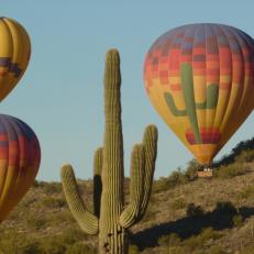 Hot-Air-Balloons-and-Saguaro-Phoenix.jpg