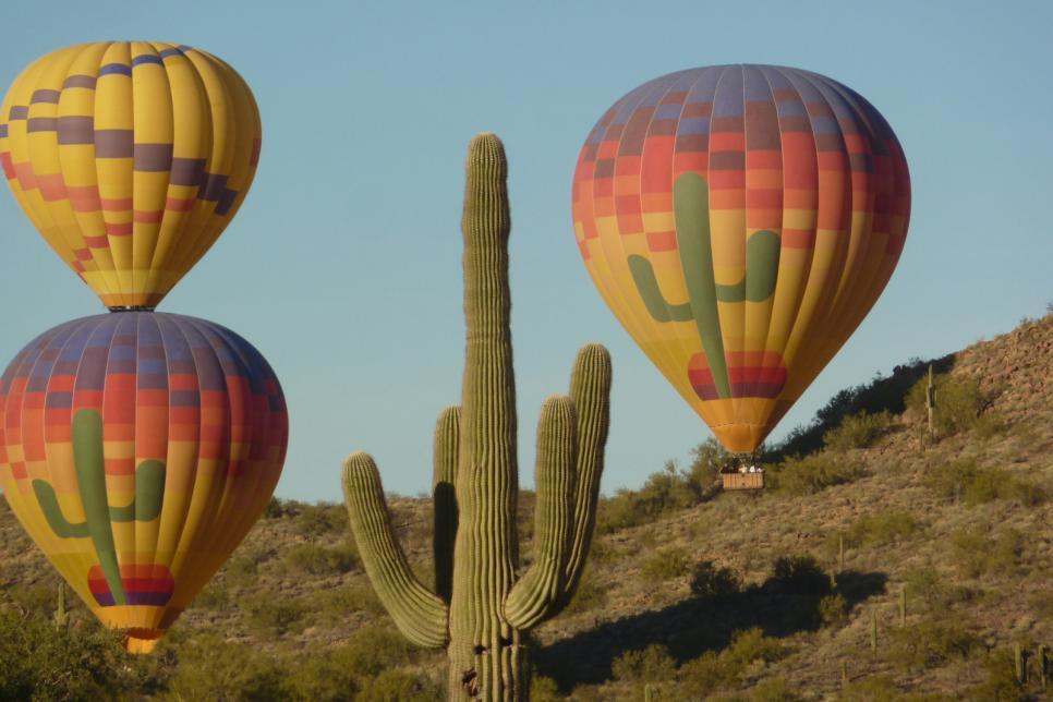 Hot-Air-Balloons-and-Saguaro-Phoenix.jpg